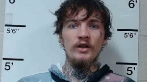 Man accused of stabbing person in neck, stealing car