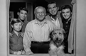 The Original My Three Sons Were Chip Rob And Mike And The Dad Was Fred Mcmurray And Uncle Charlie Was William Demerest T My Three Sons Old Movies Classic Tv