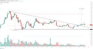 Cardano was one of them. Cardano Price Prediction Ada Could Retrace In The Short Term Before Massive 20 Breakout