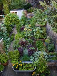 An Edible Garden Photos Jason Ingram In 2020 Vegetable Garden Design Garden Layout Urban Garden