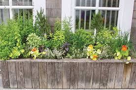 Many of them grow well in confined spaces, and window boxes provide the good drainage essential to most herbs. The Vineyard Gazette Martha S Vineyard News A Box Of Flowers