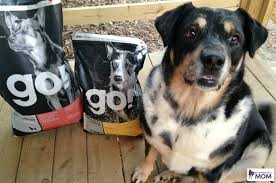 There are many foods that actually provide specific benefits for your dog's health. Petcurean Go Sensitivity Shine For Healthy Happy Dogs Powered By Mom