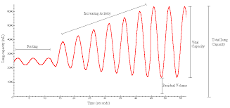 Image result for Functional Residual Capacity
