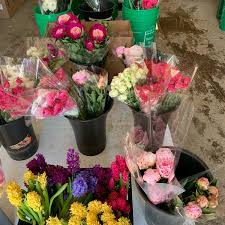Feb 12, 2021 · ranking of the top 27 things to do in boston. Boston Flower Market Flower Shop In South End