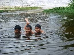 Image result for Táº®M SUá»I