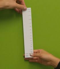 Reaction Time Ruler Science World