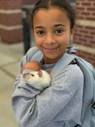 Sophie says, That darn Mr Ball hiding from me again ! 😁🤨🫣😀