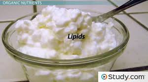 Inorganic Compounds Essential To Human Functioning | Anatomy And Physiology  I