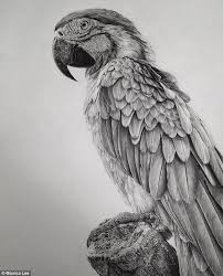 Monica Lee Pencil Drawings Of Animals Realistic Drawings Pencil Portrait Drawing