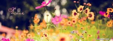 Let me ask you a question, which is the most beautiful flower in the world i know you are confused because all the flowers seem beautiful and it is very difficult to list the most beautiful flower in the world. Love For Spring Flowers Spring Flowers Pretty Flowers Flowers