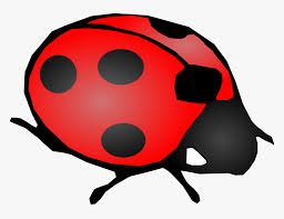 Download Lady Bug Svg Clip Arts Lady Bug Hd Png Download Transparent Png Image Pngitem