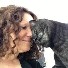 New Cat Book for Cat Lovers. Claws. Confessions of A Cat Groomer. Author  Signed