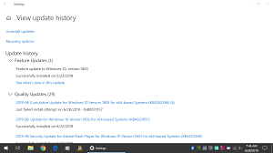 Can't windows 10 update 20h2 solved. Topic Windows 10 Cumulative Update Failed Askwoody