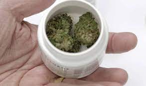 We did not find results for: There S A Shortage Of Smokable Medical Marijuana In Florida Miami Herald