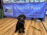 Core Pawtential | Wizard of Paws