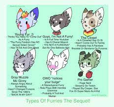 SUDO on X: What kind of furry are you? t.cojNn5jwaTNN  X