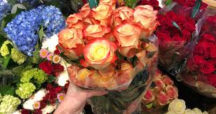 I talked to the florist and she said that she could make bouquets, boutinnieres and corsages for me for just the cost of the flowers…. Two Dozen Whole Foods Market Roses Only 19 99 For Amazon Prime Members Starts 2 7 Hip2save