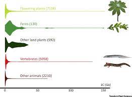 So for a genome size of 1 mb, the error between estimation and reality is only.0017%. Is There An Upper Limit To Genome Size Trends In Plant Science