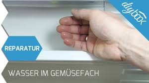 Ausgezeichnete technologien, bestechendes design, überzeugende effizienz. Kuhlschrank Wasser Unter Dem Gemusefach Youtube