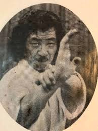 Japanese fighting art classes in Ranui