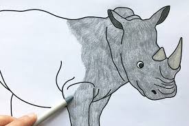Download Rhinoceros Free Printable Templates Coloring Pages Firstpalette Com