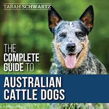 The australian cattle dog is intelligent and willing to work. The Complete Guide To Australian Cattle Dogs Horbuch Download Von Tarah Schwartz Audible De Gelesen Von Rob O Hara Graff
