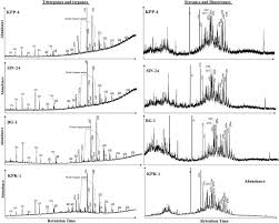 Contextual translation of retention sum into malay. Methane Sorption Capacities And Geochemical Characterization Of Paleozoic Shale Formations From Western Peninsula Malaysia Implication Of Shale Gas Potential Sciencedirect