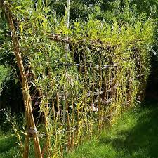 Wendland Weide Garten Vertikale Gartenmauer Weiden