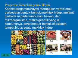 Bahan Ajar Biologi Kelas X Keanekaragaman Hayati Biodipersity Ppt Download