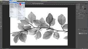 To ensure proper scaling, make sure to hold down shift when resizing. Shadow Stationery Mockup In Photoshop Design Bundles