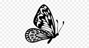 For young children, a simple way to in the middle of the butterfly outline, choose another complimentary color. Flying Butterfly Outline Clipart Black And White Butterfly Png Free Transparent Png Clipart Images Download