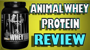 whey protein review by universal