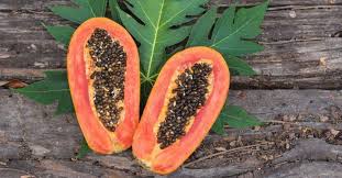 Papaya Seeds For Gut Health Liver And Kidney Detox Papaya Seeds Seeds Benefits Detoxifying Liver