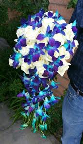 Cascade Wedding Bouquet Blue Purple Dendrobium Orchids White Roses Cascading Wedding Bouquets Wedding Centerpieces Diy Blue Orchids