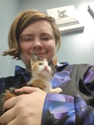 Adoptable cuddly puppy in Russellville area