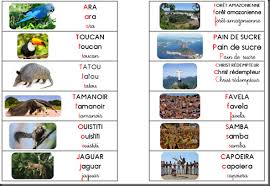 Mon Tour Du Monde Le Bresil 1 2 3 Dans Ma Classe A Moi Tour Du Monde Foret Amazonienne Bresil