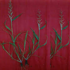 Image result for Dinebra