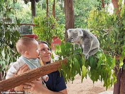 Bindi Irwin shares adorable pictures of daughter Grace Warrior, eight months, meeting a koala joey | Daily Mail Online