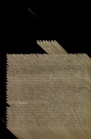 Image result for Hippocratea apocynoides