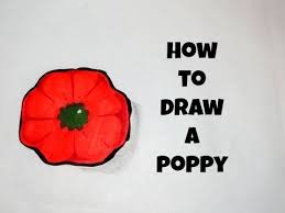 How To Draw A Simple Poppy Poppy Drawing Simple Flower Drawing Poppy Painting