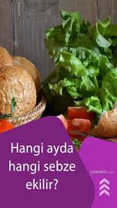 • örtüaltı tek ürün turfanda üretiminde, sulama ile. Bahce Icin 900 Fikir 2021 Bahce Bitki Organik Bahcecilik