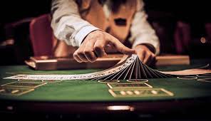 The Gambling Life: High Rewards but Higher Risks