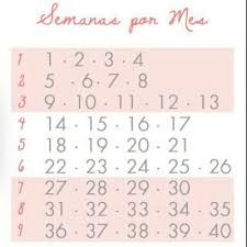 23 semanas de embarazo ¿cuántos meses son? Cuanto Meses Tengo Si Estoy En Mi 11 Semana Club Septiembre 2016 Babycenter