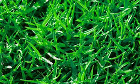 The best time to lay a sand and soil mix for grass is in the fall. Frequently Asked Questions Lawn Care