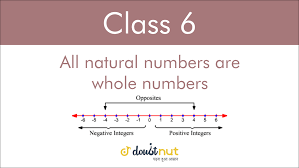 Examples of whole number in a sentence. Iv All Natural Numbers Are Whole Numbers