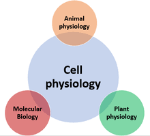 Maybe you would like to learn more about one of these? Cell Physiology Wikipedia Republished Wiki 2