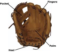 Both baseball players and enthusiasts ask this question and try to find an answer to it. Baseball And Softball Glove Buying Guide