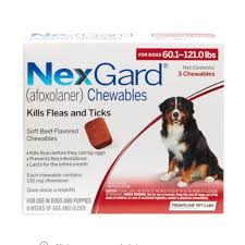 Treating an older puppy for fleas. The 7 Best Flea And Tick Prevention Products For Dogs In 2021