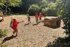 Wellfleet Bay Nature Camp: Explorers - Mammal Ramble