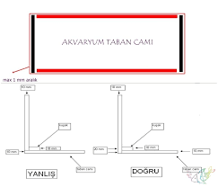 Akvaryum Yapmak Isteyenlere Tum Ayrintilar Ve Kayit Kusak Bilgi